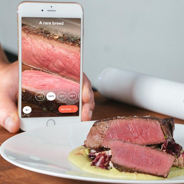 Термостат погружной Joule SousVide